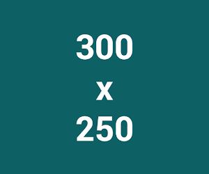 Google多媒體廣告聯播網廣告行動版常用廣告尺寸300x250